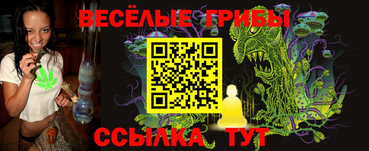 Галлюциногенные грибы GOLDEN TEACHER  Вход с VPN  Галлюциногенные грибы мицелий  Кимры 